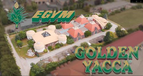 EGYM Fórum